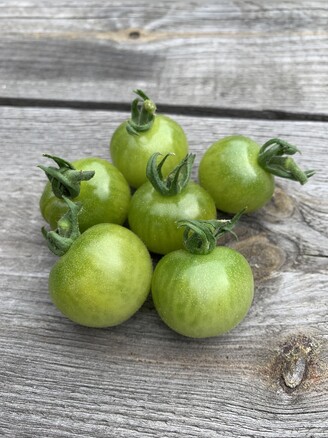 Tomate "Green Doctor" - BIO-Tomatensorte
