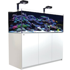 Red Sea Reefer 525 G2+ Deluxe weiss