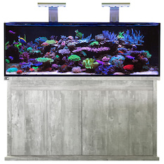 D-D Reef-Pro 1500 DRIFTWOOD CONCRETE -  Aquariumsystem