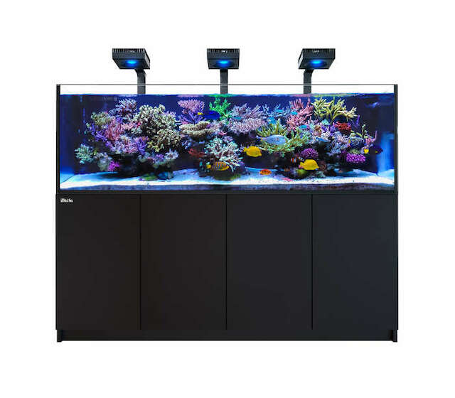 Bild zeigt die Montagehalterung auf einen Red Sea Reefer Aquarium